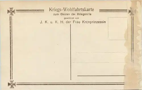 Die Söhne unseres Kronprinzenpaares in Feldgrau -240408