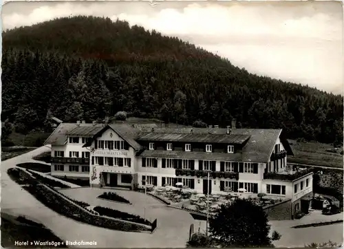 Bischofsmais - Hotel Wastlsäge -240886