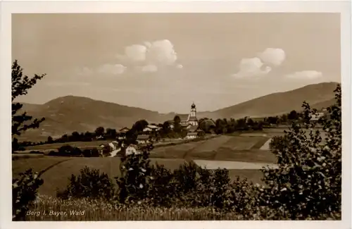 Berg i. Bayrischen Wald -239992