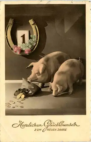 Herzlichen Glückwunsch zum neuen Jahre - Schwein Pig -278644