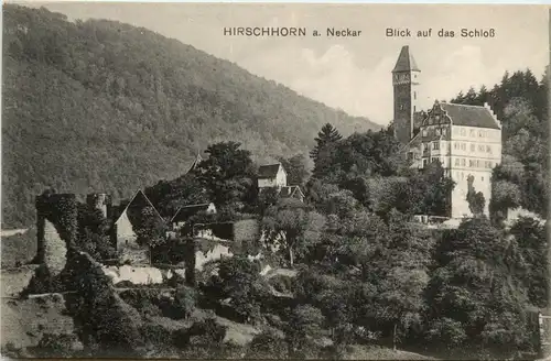 Hirschhorn am Neckar - Blick auf das Schloss -279202