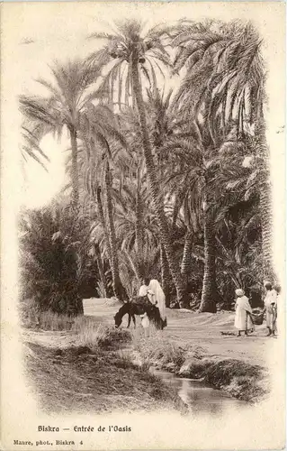 Biskra - Entree de l Oasis -278762