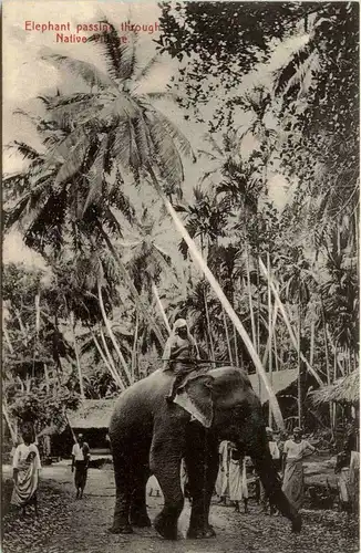 Ceylon - Elephant passing through Native village -279486
