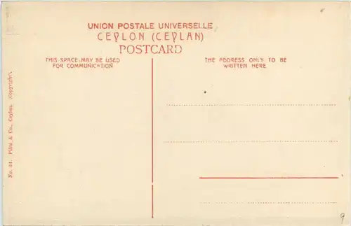 Ceylon - Elephant passing through Native village -279486