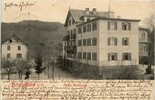 Königstein im Taunus - Villa Amelung -252296