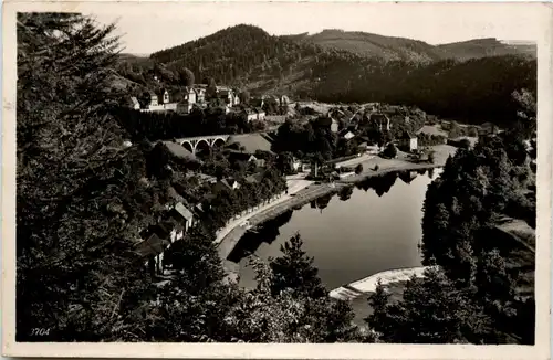 Ziegenrück an der Saale - Blick zum Schlossberg -279248
