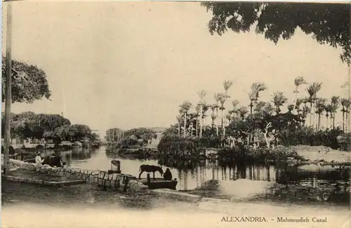 Alexandria - Mahmoudieh Canal -279044