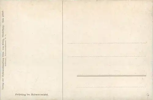 H. Hoffmann Schwarzwald -279170