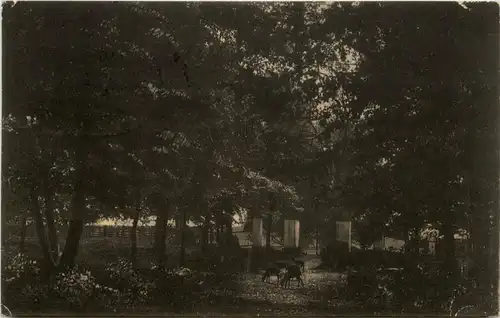 Neustrelitz - Partie im Tiergarten -252776