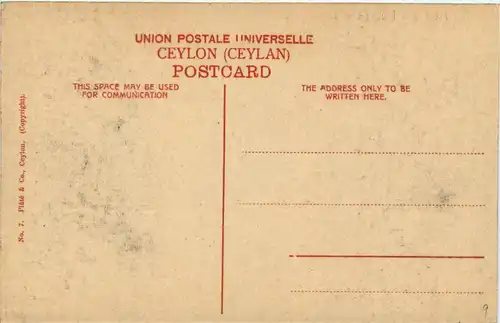 Ceylon - Tea Field with Pluckers at work -279488