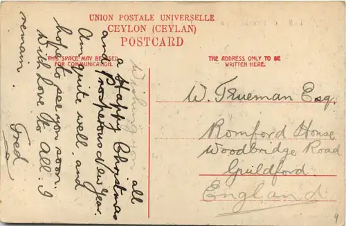 Ceylon - Buffaloes threshing paddy -279530