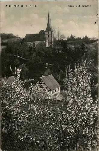 Auerbach - Blick auf Kirche -252884