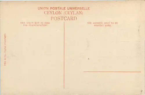 Mount Lavinia -279484