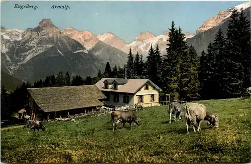 Engelberg - Arnialp -280404