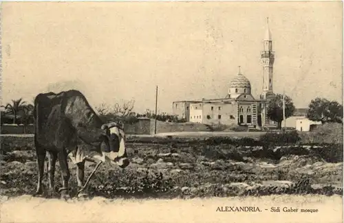 Alexandria - Sidi Gaber mosque -279614