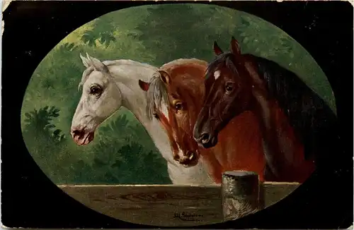 Pferd Horse -281222