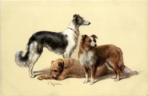 Hunde - Dogs -280718