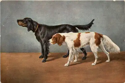 Hunde - Dogs -280692
