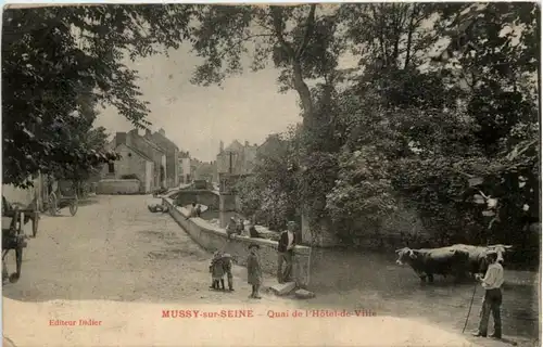 Mussy sur Seine -220422