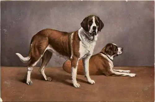 Hunde - Dogs -280694