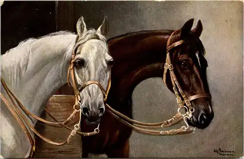 Pferd Horse -281226