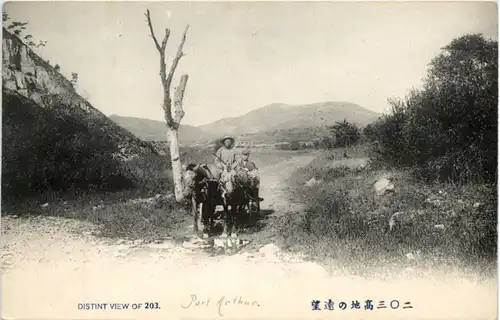 Distint View Port Arthur -221628