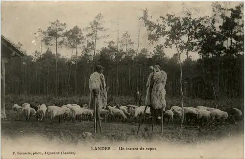 Landes - Un instant de repos -221150