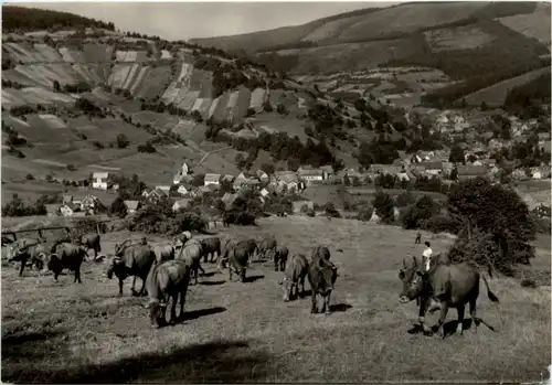 Oberschönau -221448