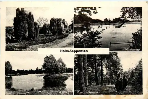 Holm-Seppensen -280294