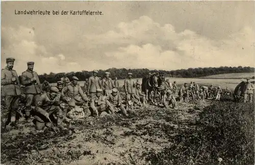 Landwehrleute bei der Kartoffelernte -246882