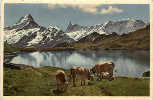Grindelwald - Kühe -221442