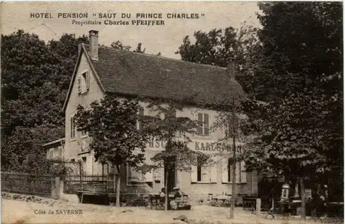 Saverne - Hotel Saut du Prince charles -221324