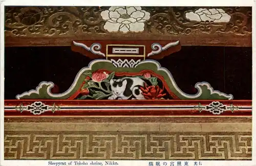 Nikko - Sleepy cat -221696