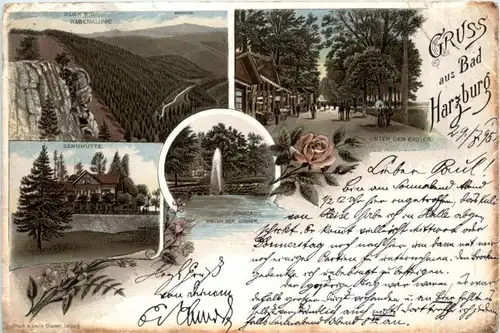 Gruss aus Bad Harzburg - Litho 1895 -221872