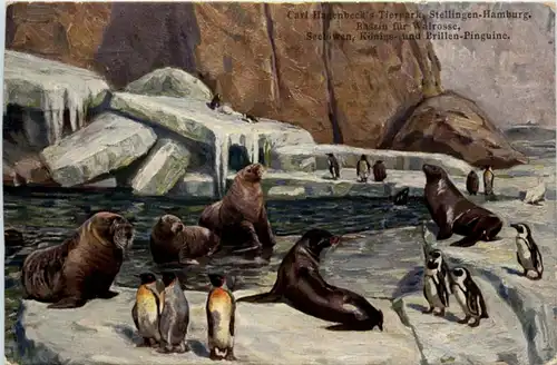 Stellingen - Carl Hagenbecks Tierpark - Walross Pinguin -223580