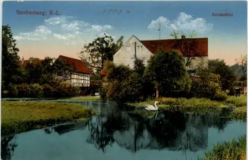 Senftenberg - Amtsmühle -223104