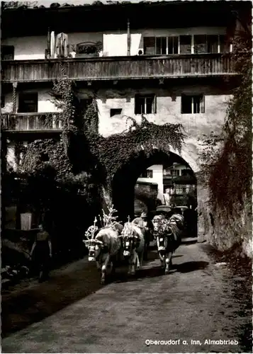 Oberaudorf am Inn - Almabtrieb -221446