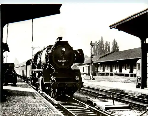 Eisenbahn in Aschersleben -224162