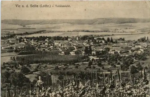 Vic a. d. Seille -223178