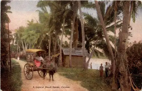 Ceylon - Road scene -249020