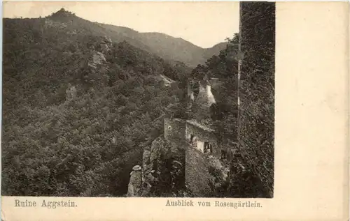Ruine Aggstein - Ausblick vom rosengärtlein -223294