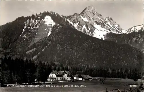 Mariazell/Steiermark - Alpengasthof Bodenbauer, gegen Buchbergkogel -308324