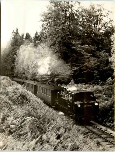 Schmalspurbahn Putbus - Göhren -224302