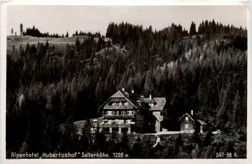 Mürzzuschlag/Steiermark - Alpenhotel Hubertushor Sollerhöhe -308654