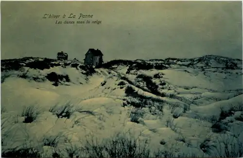 La Panne a hiver - Les dunes -225910