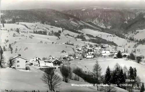 Weiz/Steiermark -Sommerfrische Fischbach -Wintersportplatz -308900