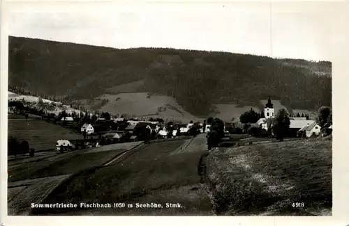 Mürzzuschlag/Steiermark - Sommerfrische Fischbach -308994