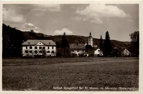Graschnitz bei St. Marein im Mürztal -Schloss Spiegelfeld -309074