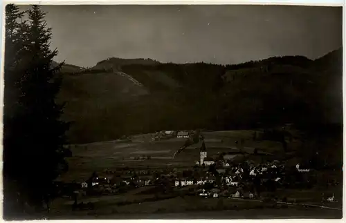 Mürzzuschlag/Steiermark - Mürzhofen -309118