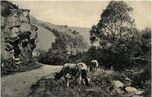 Montjoie - Klein Laufental -225310